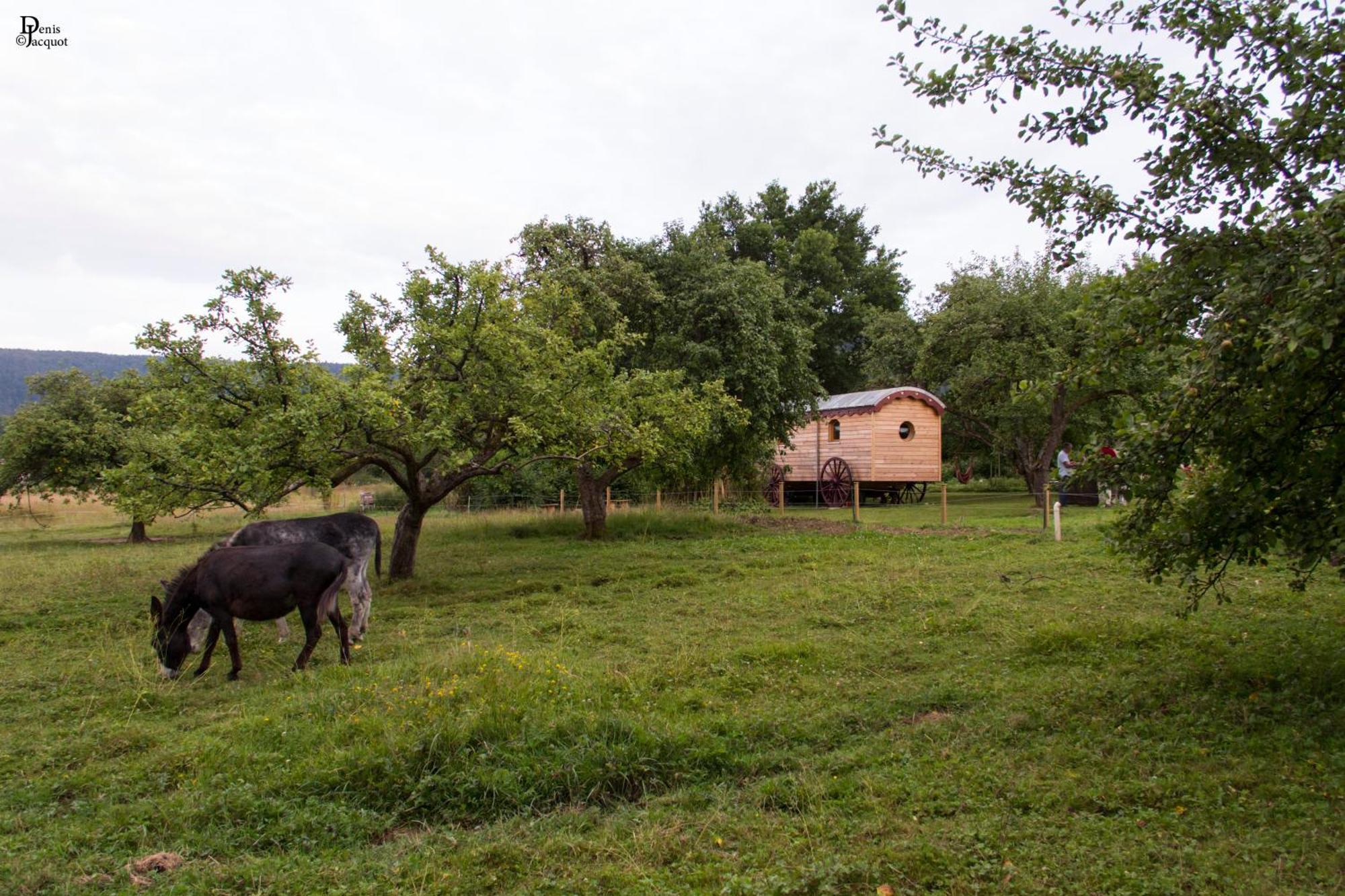 Roulotte Le Temps De Rever Bed & Breakfast Saint-Michel-sur-Meurthe Exterior photo